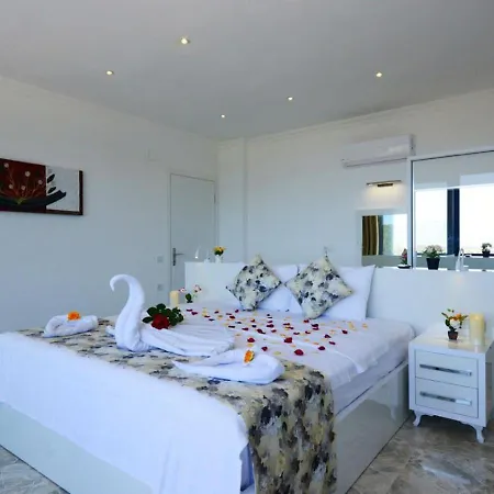 2 Bedroom Private Indoor Outdoor Pool And Jakuzzi 别墅